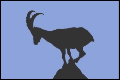 Fussmatte Steinbock blau 50x75 – Bild 2