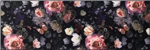 Fussmatte Wash+Dry Night Roses 60x180cm