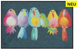 Fussmatte Salonlöwe Rainbow Birds 50x75cm