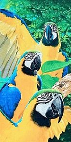 Badetuch - Strandtuch mit gelben Papageien 76x152cm