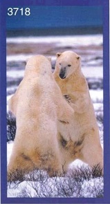 Badetuch mit zwei Eisbären 75x150cm