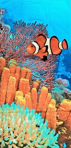Badetuch -Strandtuch Fisch Nemo Grösse 75x150cm