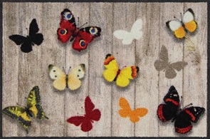 Fussmatte Salonlöwe Finolino mit Schmetterlingen Grösse 50x75cm