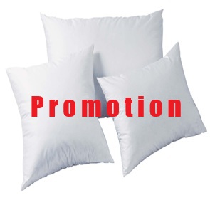 Promotion DOR ARGENTERA 3-Kammer-Daunenkissen in TOP-Qualität