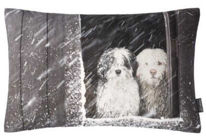 Zierkissen Hundepaar "Twix" – Bild 2