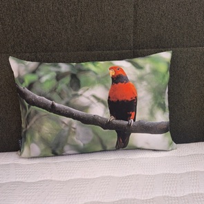 Sofakissen "Lory" mit Papageienmotiv Grösse 30x50cm