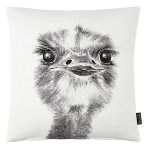 Sofakissen Proflax Strauss Tobi Grösse 40x40cm