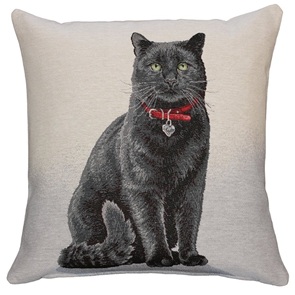 Salem Zierkissen 45x45cm mit Katzenmotiv